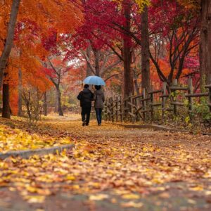 couple, park, autumn-4852225.jpg